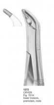  CRYER Fig. 151A lower incisors, premolars, roots 
